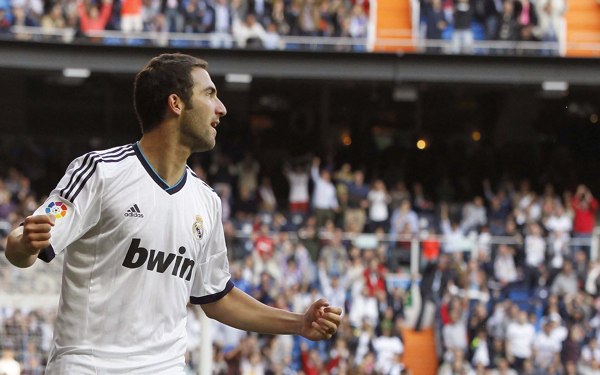 _蓝色海域滑翔：在海浪中自由飞翔_，蓝色的海域