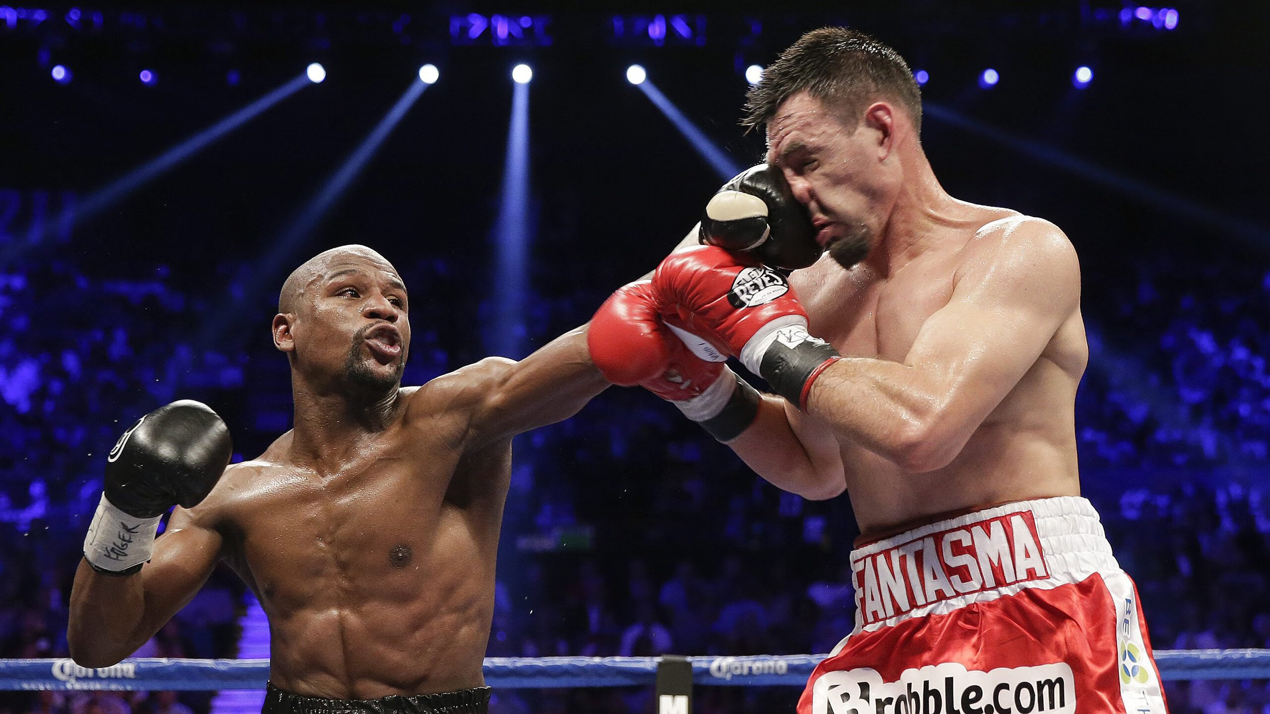 _蓝色海域滑翔：在海浪中自由飞翔_，蓝色的海域